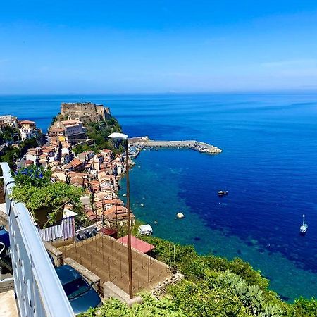 Blue Jolie Scilla Exterior foto